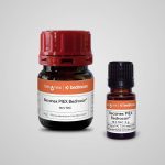Becanex PIEX Bedrocan 78%