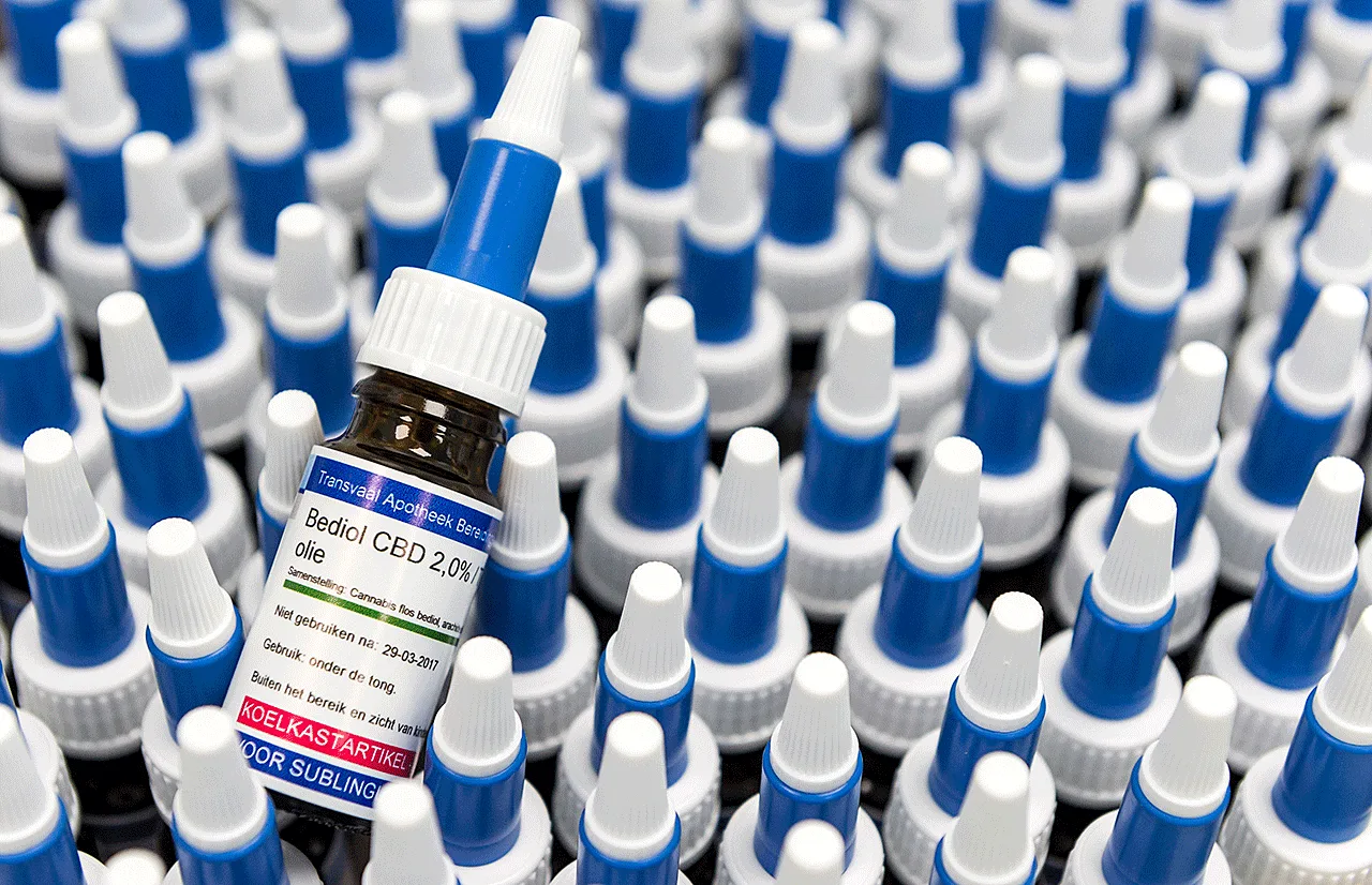 CBD oil cannabis quality