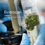 bedrocan-corporate-brochure-cover Corporate brochure