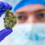 medical cannabis orders