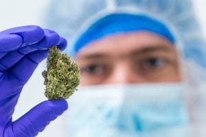 What is medicinal cannabis?