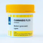 Bedrocan Medicinal Cannabis Bediol 1 1