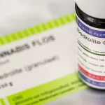 Bedrolite® CBD oil and epilepsy