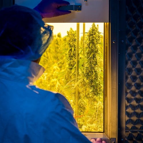 growing-room-emmeloord_lr-3 growing-room-emmeloord_lr-3