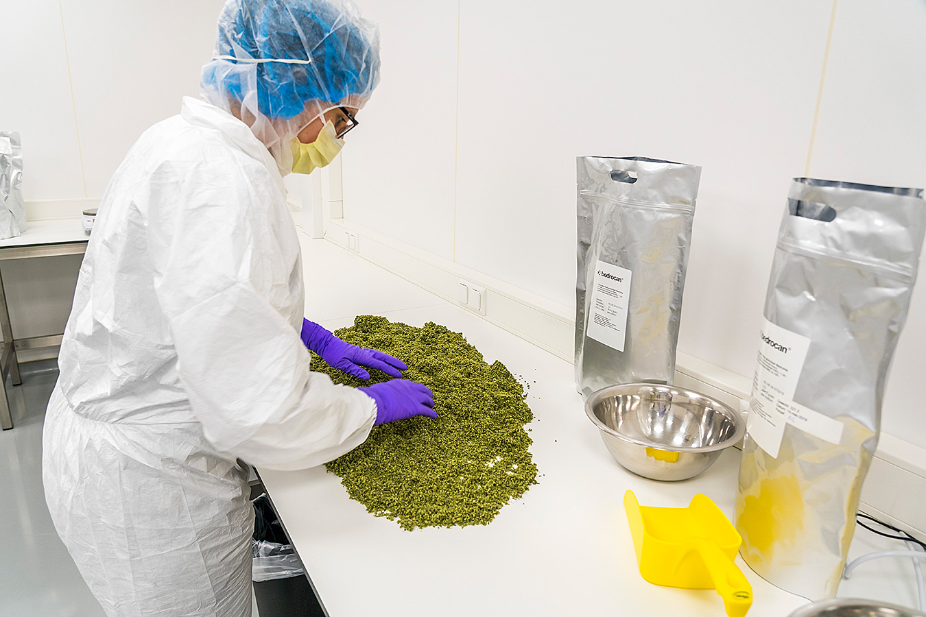 The Dutch OMC checks the medicinal cannabis at Bedrocan's facility