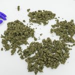 legalization of recreational cannabis in Germany