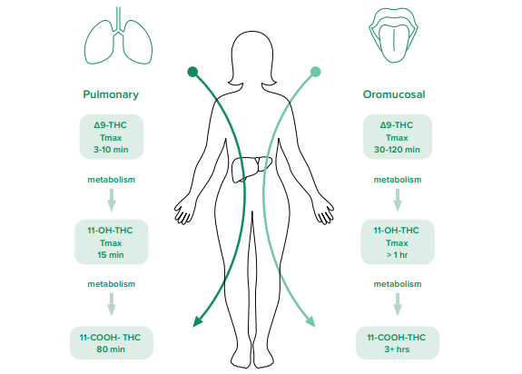 cannabinoids